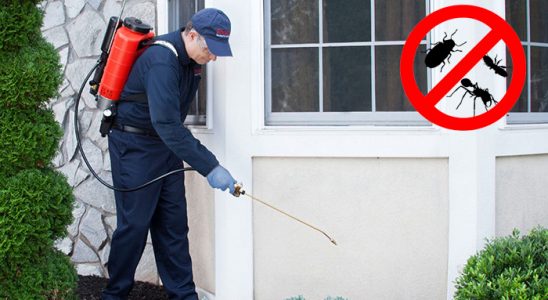 Kovancılar Akrep İlaçlama böcek ilaçlama ve haşere kontrolü — ilaclama-tr.com